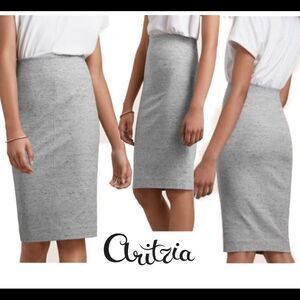 Aritzia Wilfred stretchy gray Lis midi skirt size small